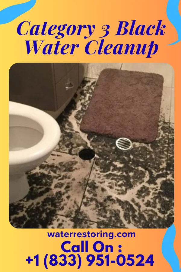 Category 3 Black Water Cleanup in Abbeville, MS