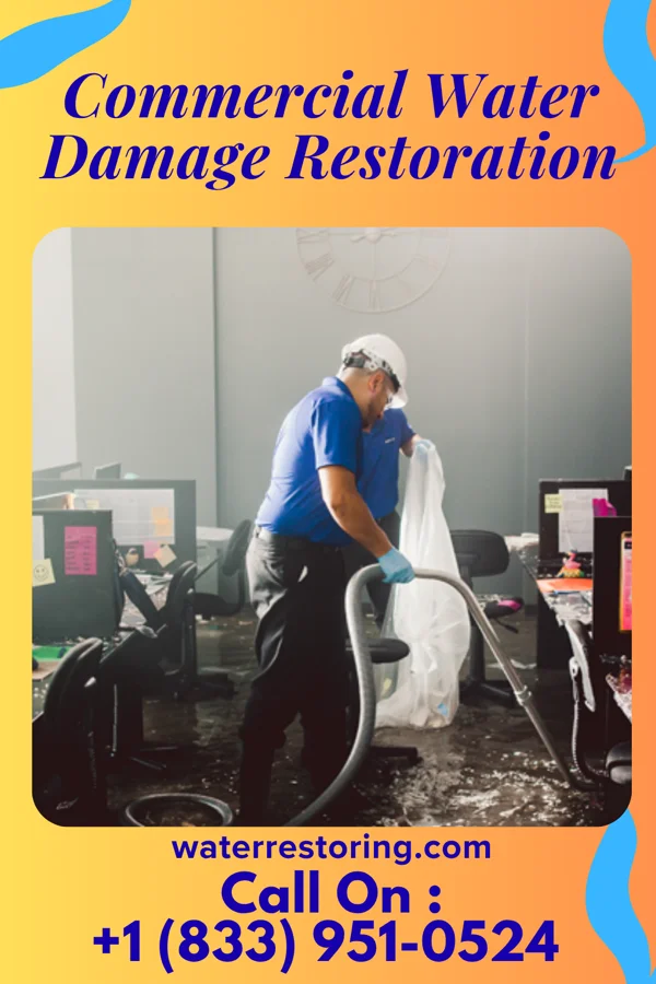 Commercial Water Damage Restoration in Abbeville, MS