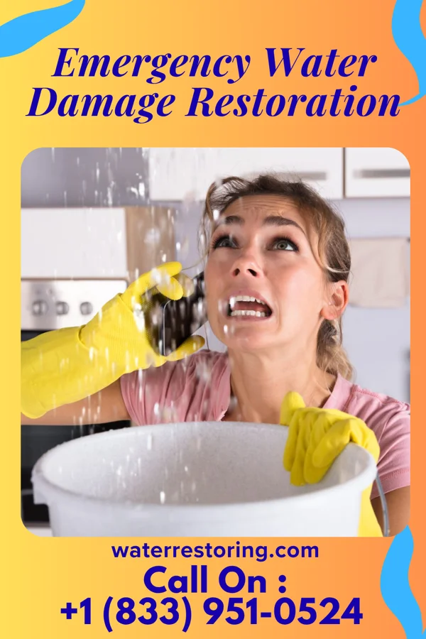 Emergency Water Damage Restoration in Abbeville, MS