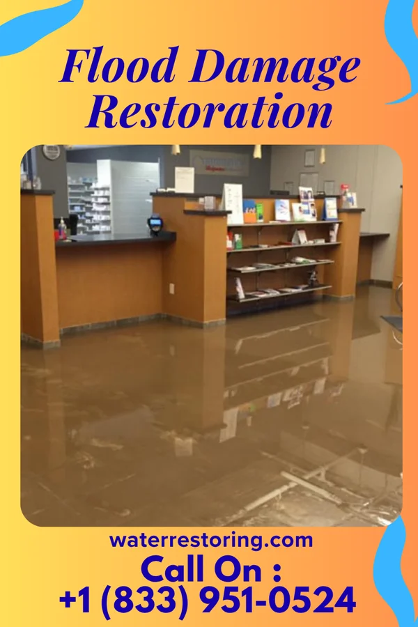 Flood Damage Restoration in Abbeville, MS